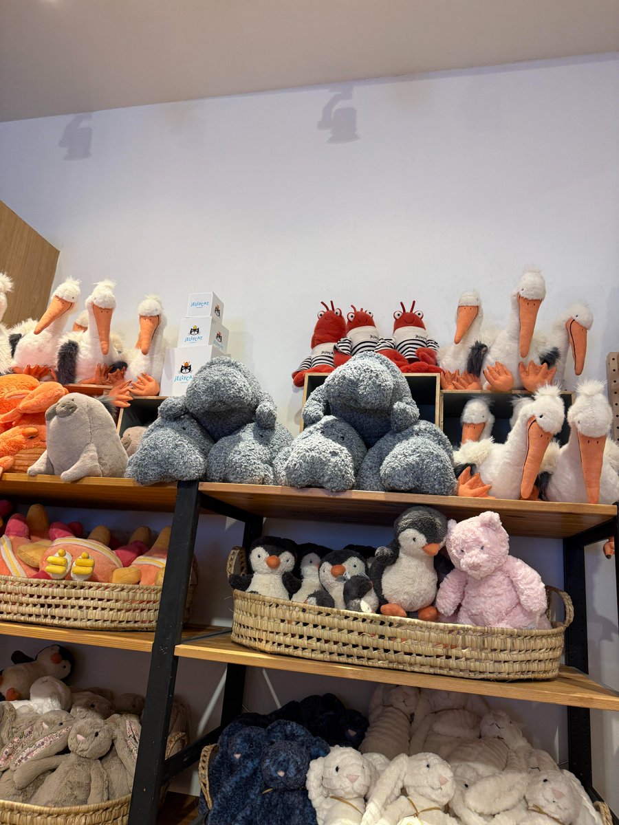 MilaDawnmd's tweet photo. Stumbled upon a Jellycat wonderland 
Soft   adorable  and impossible to leave empty-handed! https://t.co/HfiqoFXNd4