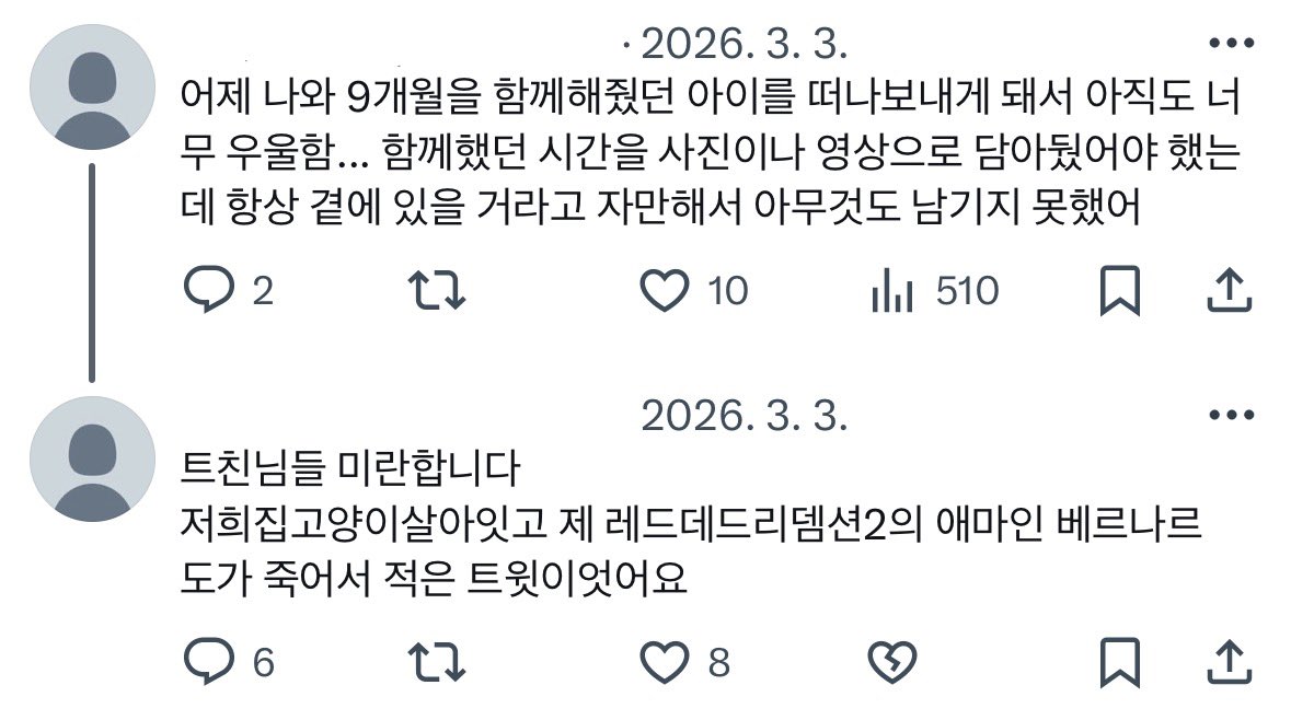 t2yUiop's tweet photo. 레데리했을때 애마죽고 하루종일 오열한뒤 이런 트윗 올렷더니 트친들이 내 반려묘 떠난줄알고 연락ㅈㄴ보냄 https://t.co/ehIqwqZpI7