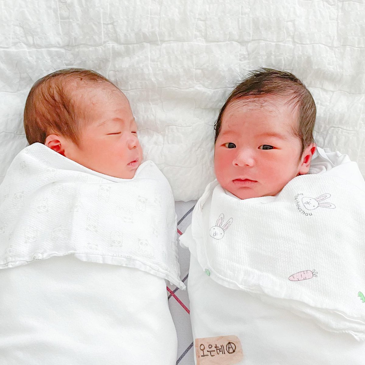 LaciWhittynt's tweet photo. 2022년 5월 5일 어린이날에 태어난 쌍둥이 형제. 36주 3일에 태어나 32일째 세상과 싸우는 아이들. 함께 견뎌준 아��와 아들들이 고맙고 감사하다. 앞으로 더 행복하게 살아가자. https://t.co/5m2l5BDxxE