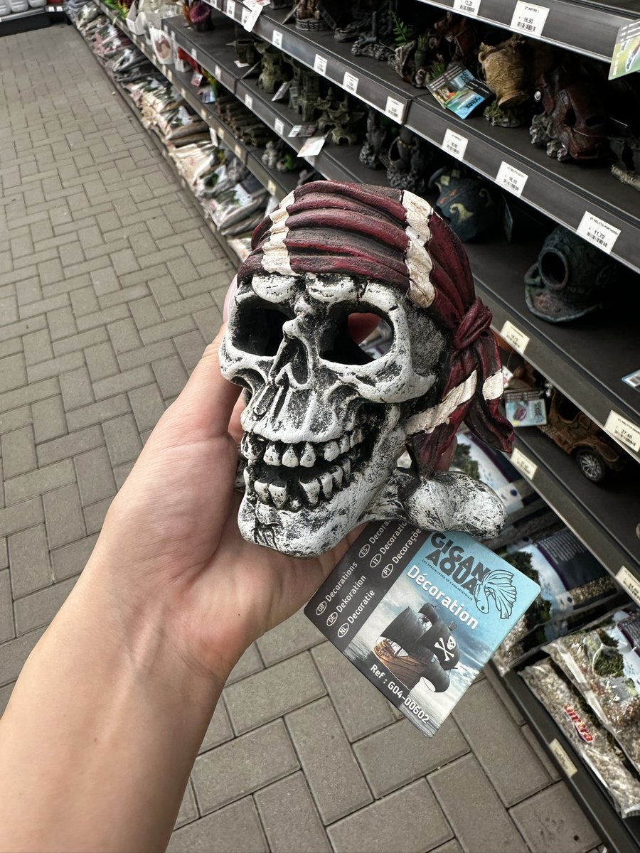 JannetIncosplay's tweet photo. Found this babies not sure I can afford all, but it’s little tip about my Halloween project and thematic 😈😜 guess the one i bought  and I will post it showing his role at home decoration already 😍 https://t.co/lvJiGWd9BV