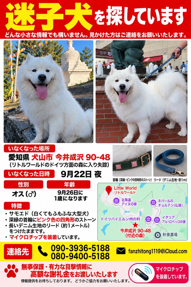 wenninglove's tweet photo. 🚨リノくん🚨#迷子犬　#リトルワールド　#愛知　#岐阜
四日目。行方不明になった近くの森に入って探しました。専門家がそこでカメラを設置し、その後周辺の民家やワンちゃんが沢山いるお店に行き、犬が居なくなったという事を広めましたが、残念ながらどこも目撃情報が無かったです。 https://t.co/gkN5eUiFWK