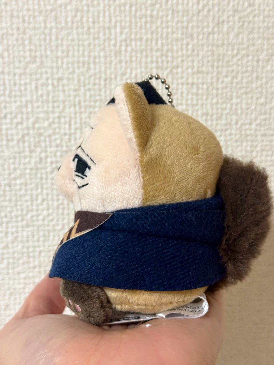 washigreen's tweet photo. うちのフォゼ菊さんです。
見てください！！
横からのフォルムが正面からと少しギャップがある感じがして可愛いです♡ https://t.co/8UcBG1OI5A