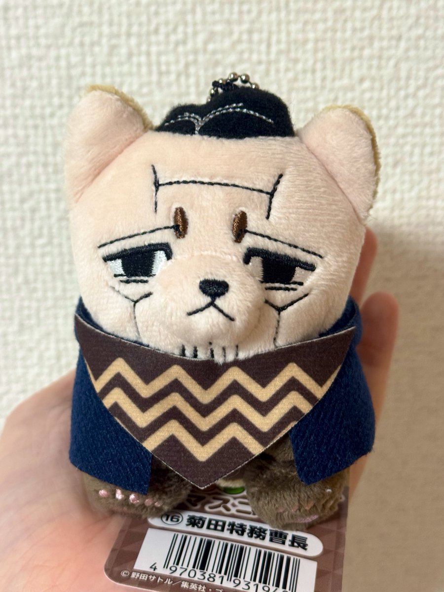washigreen's tweet photo. うちのフォゼ菊さんです。
見てください！！
横からのフォルムが正面からと少しギャップがある感じがして可愛いです♡ https://t.co/8UcBG1OI5A