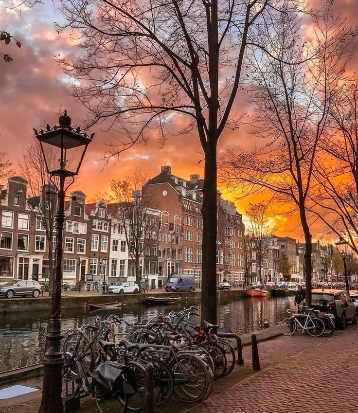 osamarb's tweet photo. Autumn Amsterdam, The Netherlands....
#DrOsamaRabie https://t.co/vp0p2k0A1L