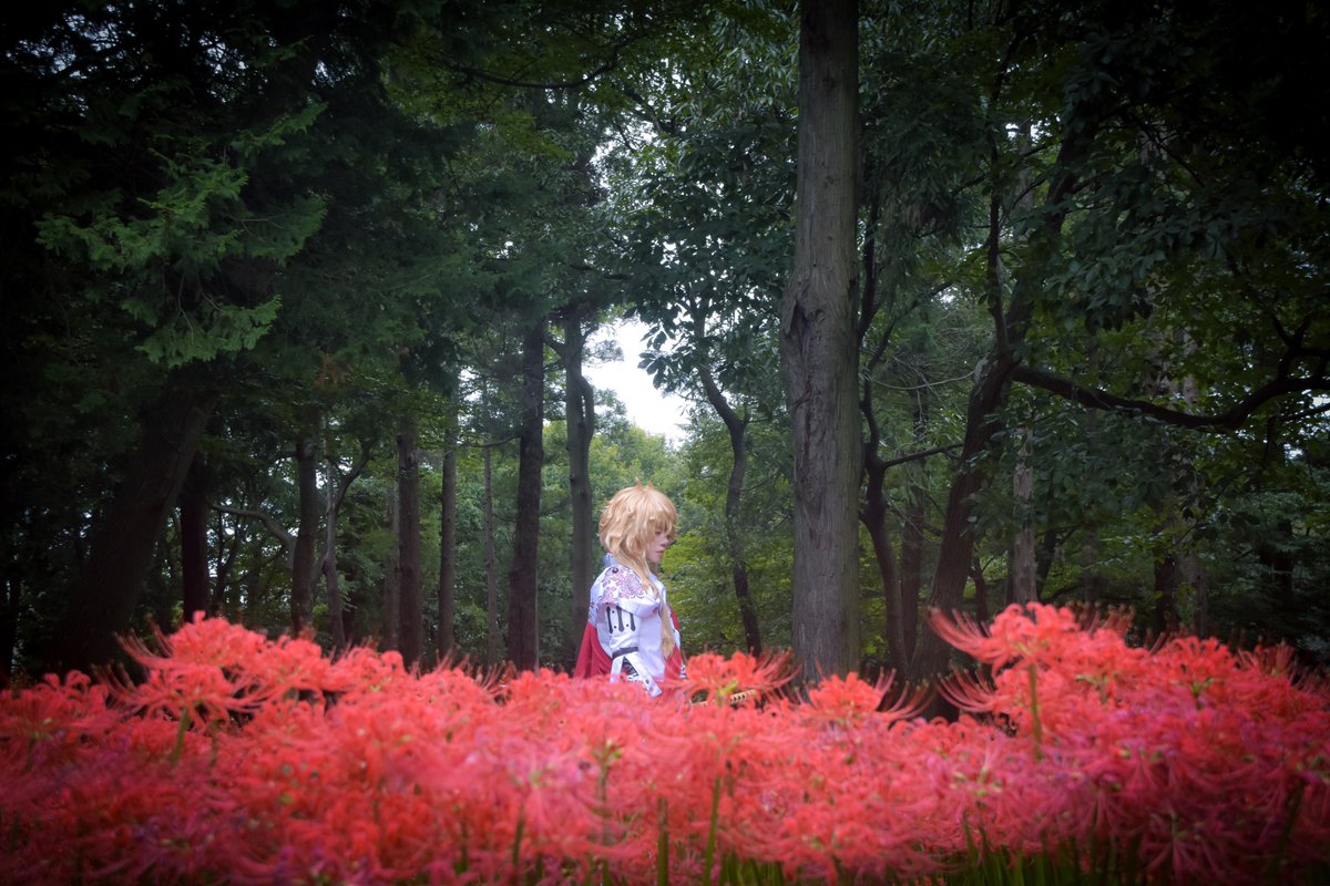 mnatery's tweet photo. コスプレ

夢の中でも　愛でもって、

一文字則宗
p @chi_ha_ne https://t.co/24nCmySlHs