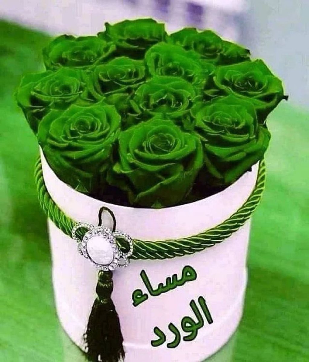 __Miisk's tweet photo. مساء الورد https://t.co/ZGxFpu8Txp