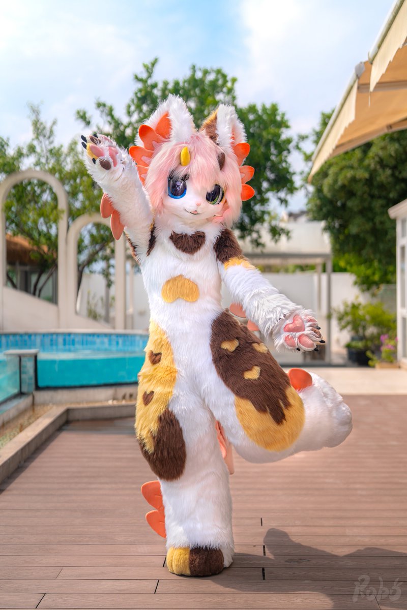Bunspoke's tweet photo. [Fursuit Showcase] Qiuqiu

She's the first axolotl made by bunspoke!

Fursuit made by @asayuki_bunny 
Photos by @_Roborab 

#fursuit #fursuiter https://t.co/srNSr1JUFU