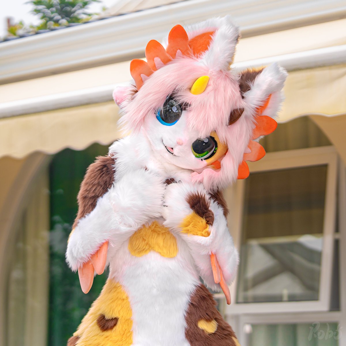 Bunspoke's tweet photo. [Fursuit Showcase] Qiuqiu

She's the first axolotl made by bunspoke!

Fursuit made by @asayuki_bunny 
Photos by @_Roborab 

#fursuit #fursuiter https://t.co/srNSr1JUFU