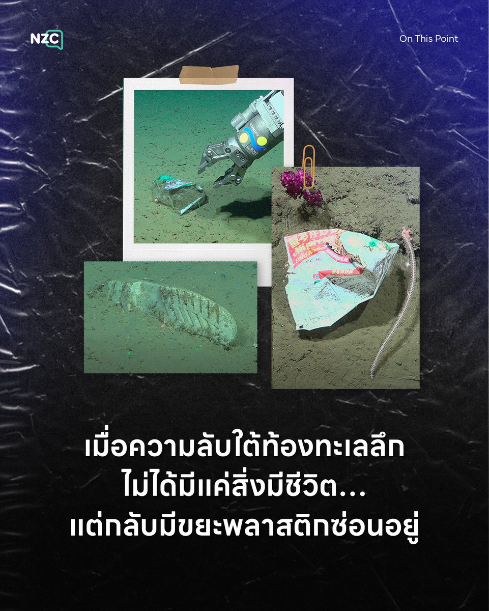 NetzerocarbonTh's tweet photo. ล่าสุดนักวิทยาศาสตร์สามารถบันทึกภาพสถานที่ซึ่งมนุษย์ไม่เคยพบเห็นมาก่อนบริเวณหุบเขาใต้ทะเลลึก ‘มาร์ เดล ปลาตา’ (Mar del Plata) นอกชายฝั่งประเทศอาร์เจนตินาเอาไว้ได้
.
แต่สิ่งที่น่าตกใจคือภาพเหล่านั้นกลับเผยให้เห็น ‘ขยะจากฝีมือมนุษย์’ จำนวนมาก ไม่ว่าจะเป็นซองใส่อาหาร ถ้วยพลาสติก และรองเท้าบู๊ตยาง
.
‘หุบเขาใต้ทะเลลึก’ มักเป็นแหล่งอุดมสมบูรณ์และเป็นพื้นที่อนุบาลให้กับสัตว์หลากหลายชนิด นักวิจัยจากพิพิธภัณฑ์ประวัติศาสตร์ธรรมชาติอาร์เจนตินาจึงสำรวจพื้นที่นี้ในปี 2025 โดยใช้ยานดำน้ำควบคุมระยะไกล (ROV) ดำดิ่งลงไปสำรวจความลึกระหว่าง 1,120-3,820 เมตร ซึ่งทำให้พวกเขาค้นพบสิ่งมีชีวิตสายพันธุ์ใหม่อาจมากถึง 40 ชนิด
.
แต่ว่าทีมนักวิจัยกลับตกใจเมื่อเจอขยะฝีมือมนุษย์รวมกันถึง 29 ชิ้นจากภารกิจดำน้ำ 10 ครั้ง ซึ่งรวมถึงถุงพลาสติก ซองอาหาร และอุปกรณ์ตกปลาที่ถูกทิ้ง
.
ขยะเหล่านี้ส่วนใหญ่คาดว่ามาจากเรือประมงนอกชายฝั่ง นอกจากนี้ยังพบว่าสิ่งมีชีวิตใต้ทะเลบางชนิดเริ่มเติบโตหรือเกาะติดอยู่บนขยะเหล่านั้นแล้ว เช่น ถุงพลาสติกและเชือกไนลอน เพราะการที่ขยะถูกฝังกลบไปบางส่วนอาจทำให้มันอยู่นิ่งและส่งผลให้สัตว์ต่าง ๆ เข้ามาเกาะอาศัยได้นานขึ้น
.
นักวิทยาศาสตร์เตือนว่าผลกระทบเชิงนิเวศจากการที่สัตว์เข้าไปอาศัยอยู่ร่วมกับขยะในทะเลลึกยังเป็นสิ่งที่เราเข้าใจน้อยมาก และแสดงให้เห็นว่าแม้แต่ท้องทะเลลึกก็ไม่ปลอดภัยจากมลพิษพลาสติก ทีมงานจึงหวังว่าการเปิดเผยผลการสำรวจนี้จะช่วยกระตุ้นให้ทุกฝ่ายหันมาปกป้องระบบนิเวศทางทะเลให้ดียิ่งขึ้นก่อนที่เราจะเปลี่ยนแปลงสิ่งเหล่านี้ไปตลอดกาล

#NZC #NetZeroCarbon #OnThisPoint #หุบเขาใต้ทะเลลึก #ขยะ

ที่มา
- Discover Wildlife