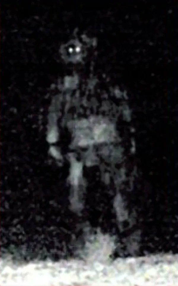 AlienArchiveX's tweet photo. In 2007, a college biology professor photographed an humanoid figure near Lake Travis, Texas. 
He was reportedly testing his camera flash during a nighttime research trip when the figure appeared behind one of his students.
https://t.co/whlB0OsdDJ

#ufos #aliens #ufotwitter https://t.co/rQ0Ir7CCdP