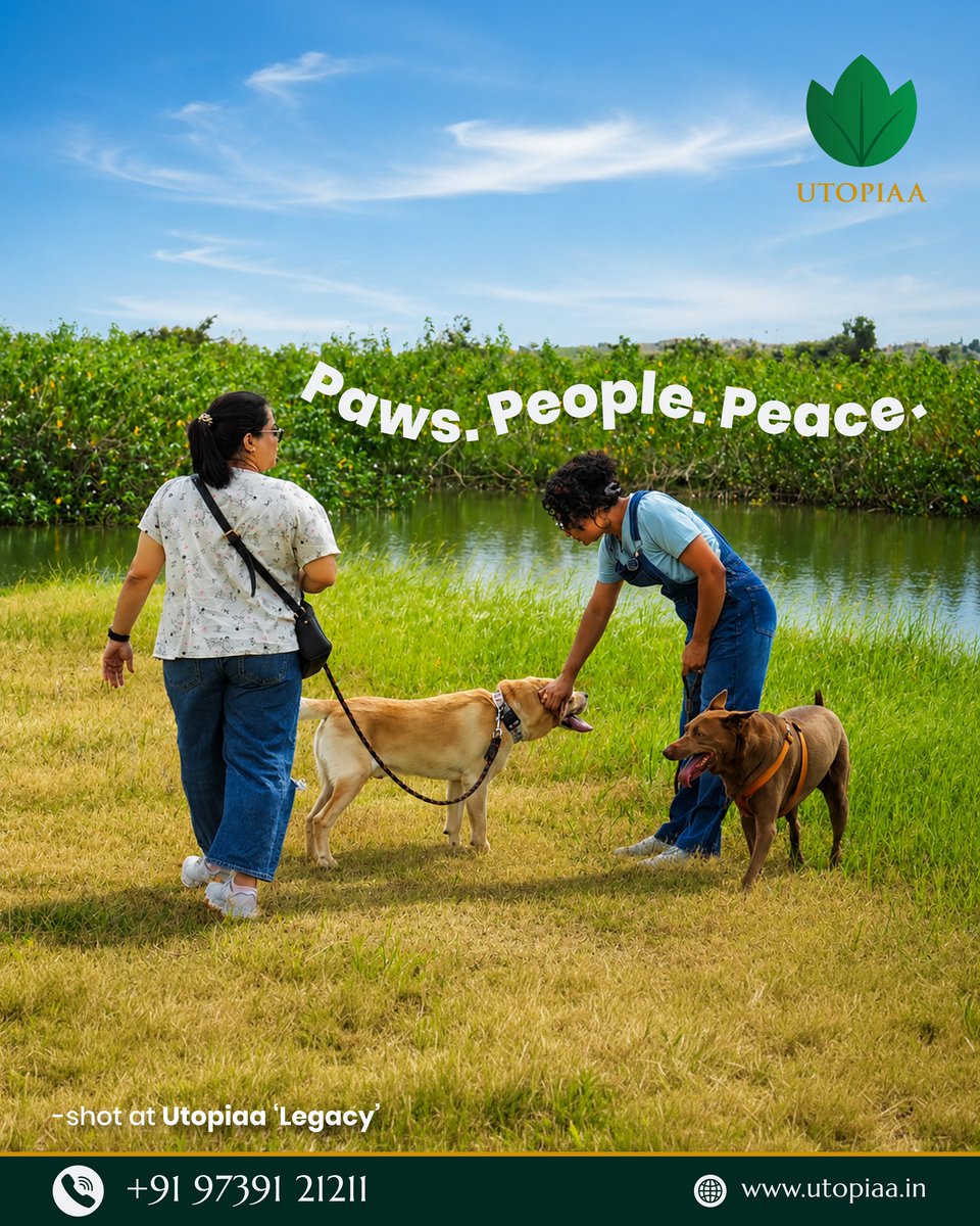 RustyLebeouf's tweet photo. Some places welcome you. The best ones welcome your furry family too. At Utopiaa Legacy, open spaces, fresh air, and peaceful surroundings let pets run free, make friends, and enjoy nature. Because every family member deserves to feel at home. https://t.co/jwiwsiBNuj