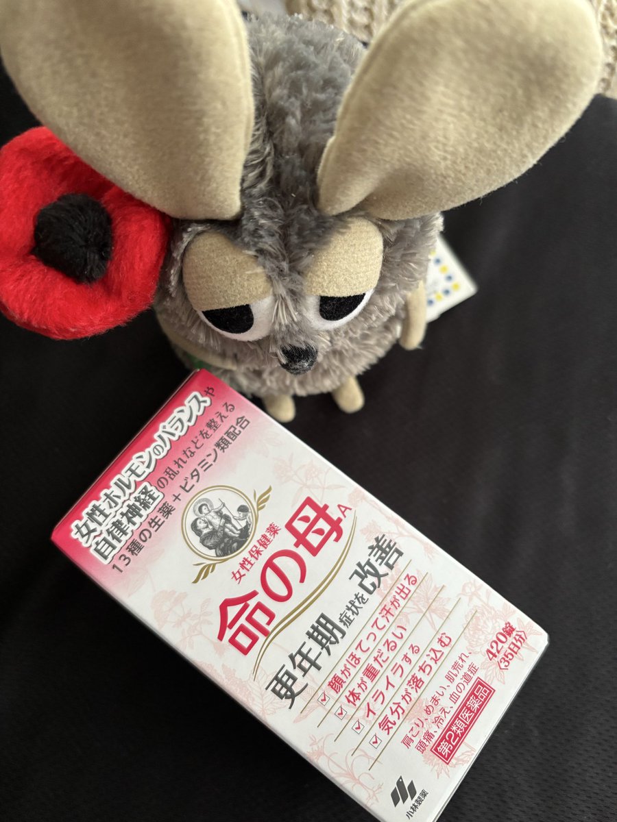 koumisu's tweet photo. 異常な汗とか、不調がここ数年酷く
最近悪化して、病院でも原因不明
姉に命の母を勧めらて、昨日の昼から飲んでますが何か調子良いかも
ひと月続けてみよう
#若年性更年期障害　#ぬい撮り https://t.co/8dcGHDzk6W