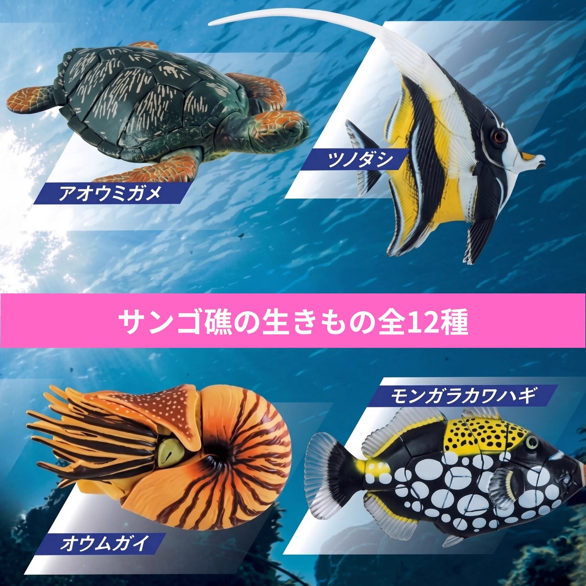 カワラハハコ『Marine』高品質シリーズ/2点からお願いします 公式】宝島社マルチメディア編集局 on X: 