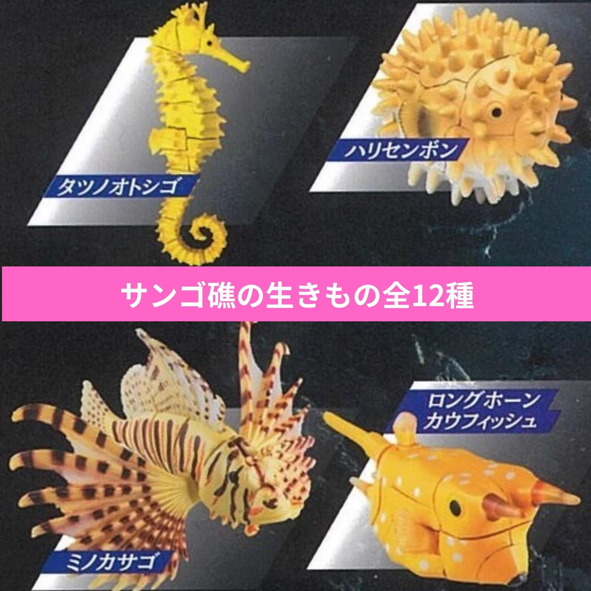 公式】宝島社マルチメディア編集局 on X: 