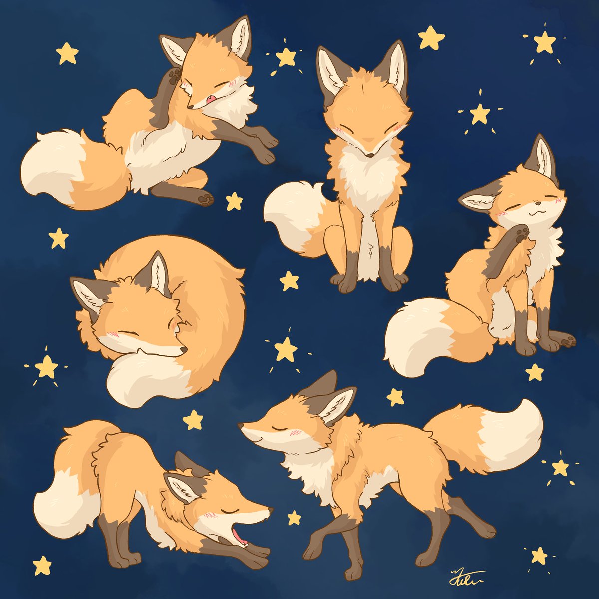 hashi00801's tweet photo. ⭐️🦊 https://t.co/4LSdlsbFvh