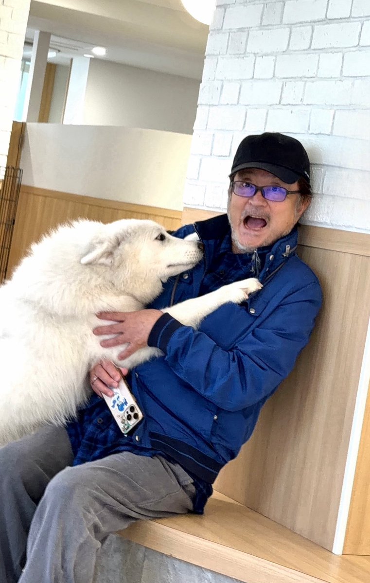 oowadashinya's tweet photo. しかも、優しい。 https://t.co/z4lhWukyiH