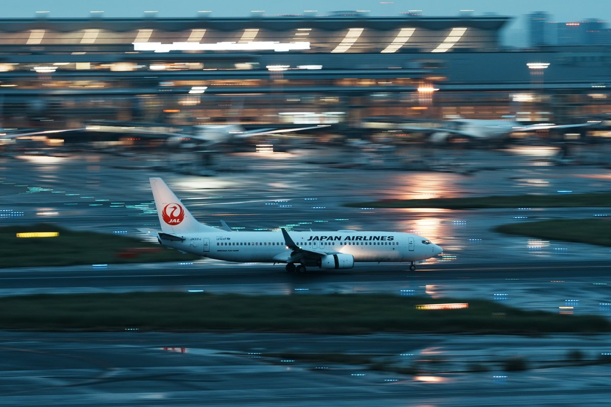 KI_a350_500v2's tweet photo. 2026.09.19
JL262 HIJ⇒HND
B738 JA331J
34L🛫
#JAL
#FlyJAL
#B737
#JA331J https://t.co/oEiPsHYpXj