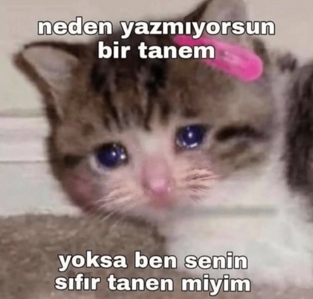 viladitakvim's tweet photo. Sizinle fav stickerımı paylaşmak istiyorum. Yıllardır kullanılamadığından wpda küflendi de https://t.co/rTqB9wdQW4