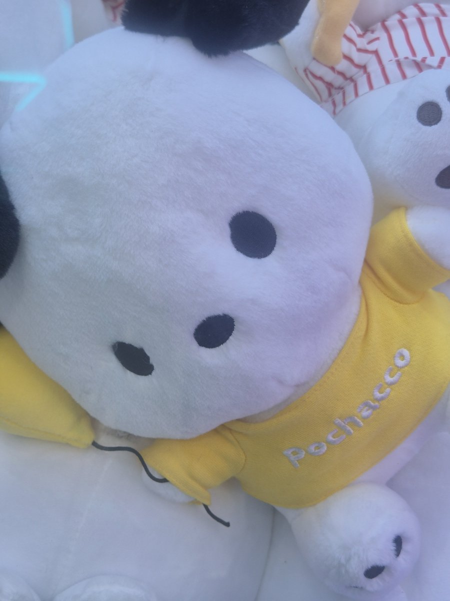 chxrishursxlf's tweet photo. 이정이들 https://t.co/zm1jxefpvA