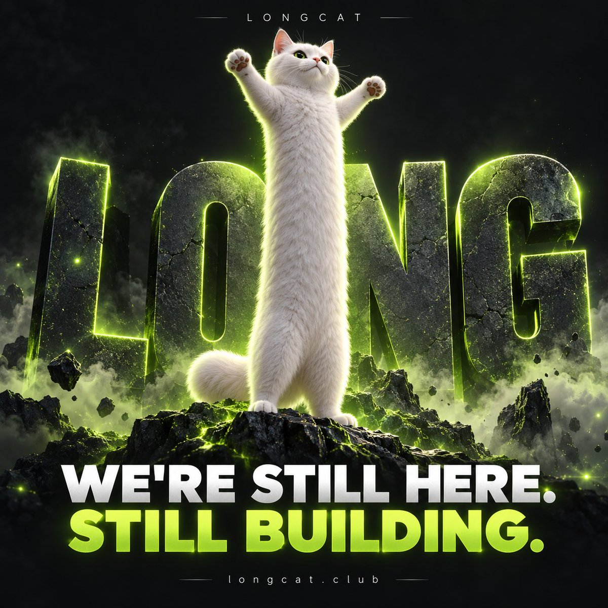 Longcat_Arc's tweet photo. @theunipcs I’ve reached out, but I’m still waiting for a response. The Longcat community is here, building and supporting https://t.co/aWwdwEPcUv. We’re asking for an honest conversation. If you have concerns, let’s discuss them openly. Our voice deserves to be heard too. https://t.co/qK1J3OTwOa