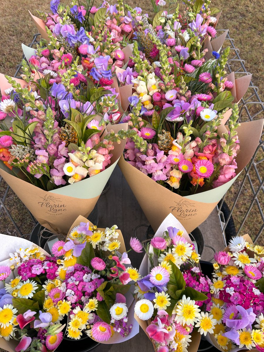 dreamyflowerrs's tweet photo. pretty flowers https://t.co/vMSxAipwz7