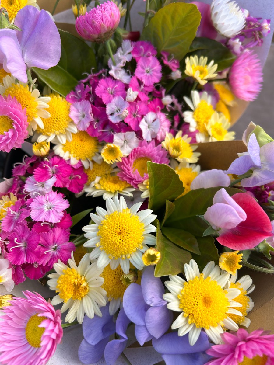 dreamyflowerrs's tweet photo. pretty flowers https://t.co/vMSxAipwz7