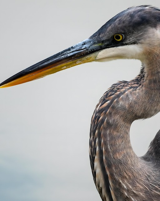 qhessila's tweet photo. Be patient, the process is shaping 🔥 you and that''s enough for now and the journey keeps 🏹 unfolding and I''m learning to flow with it https://t.co/axXQup8iHO