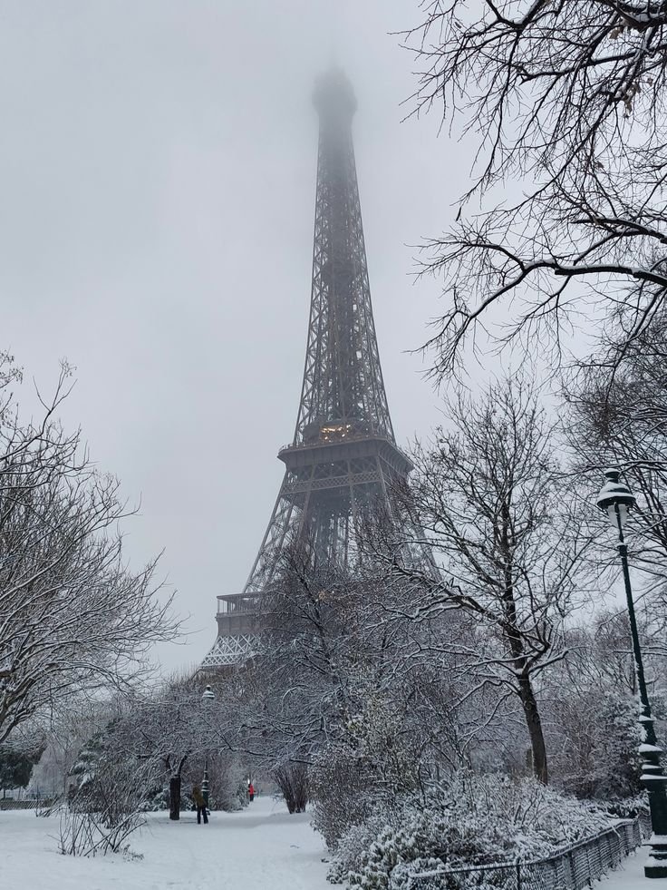 echoesofworld's tweet photo. winter in paris https://t.co/AYnJujORid
