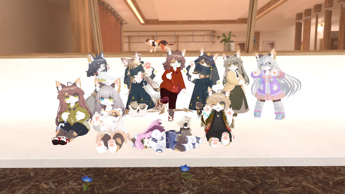 SynkaVRC's tweet photo. #三毛リナちゃん集会
終始まったりとした楽しい集会でした！ https://t.co/tuyzARSj2h