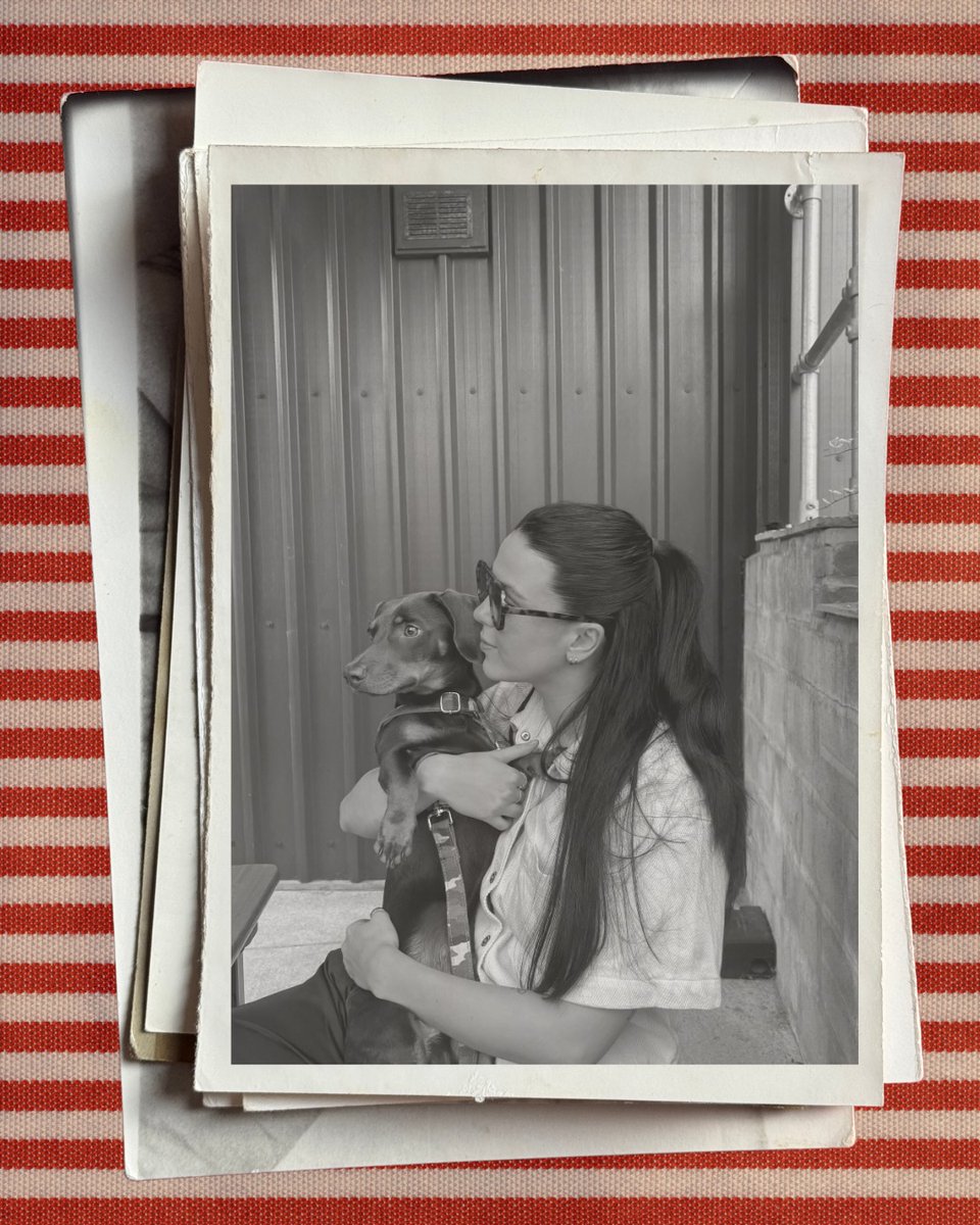 BaileyBukhari's tweet photo. Happy International Dog Day to the best boy. https://t.co/WSQuozMMQn