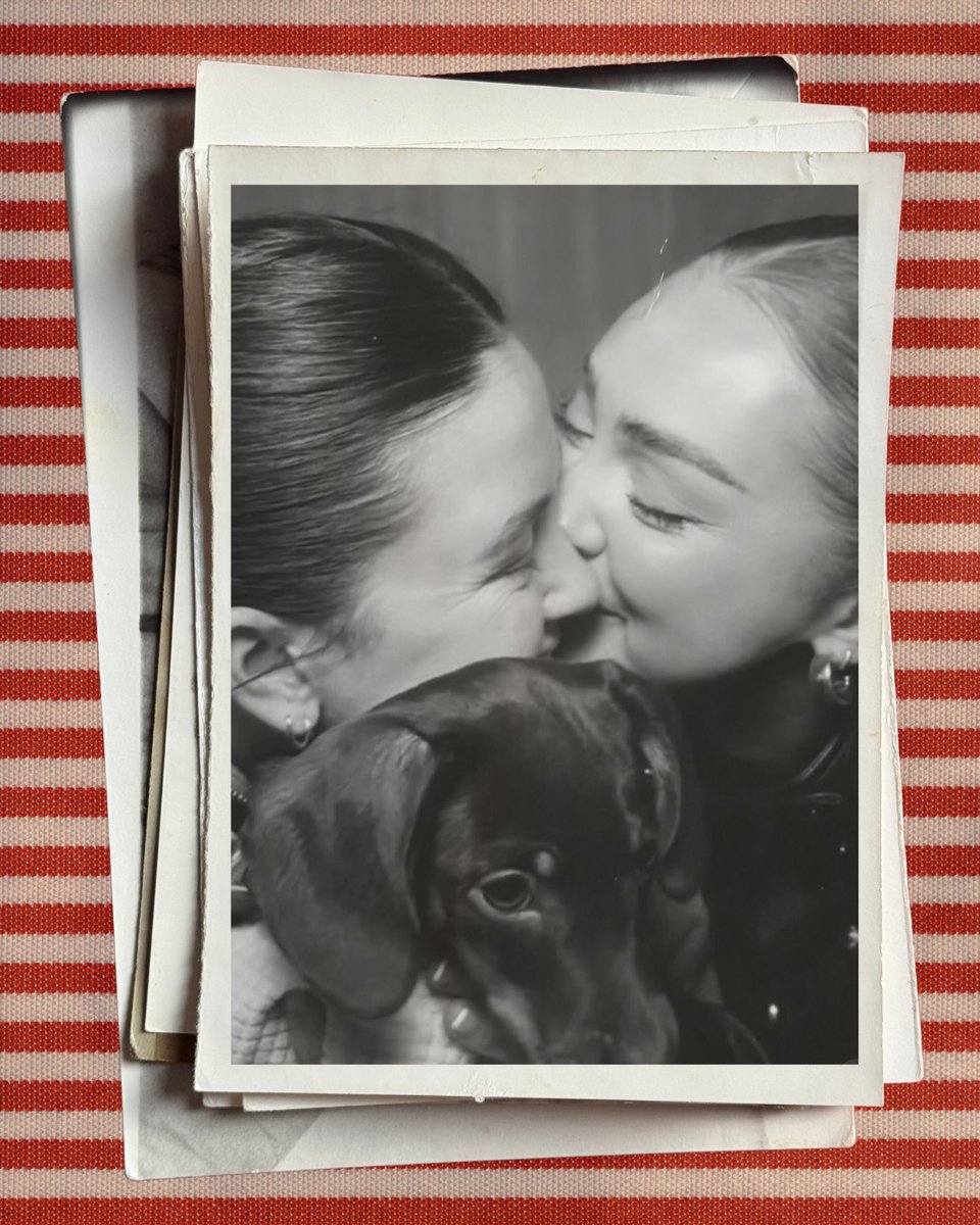 BaileyBukhari's tweet photo. Happy International Dog Day to the best boy. https://t.co/WSQuozMMQn