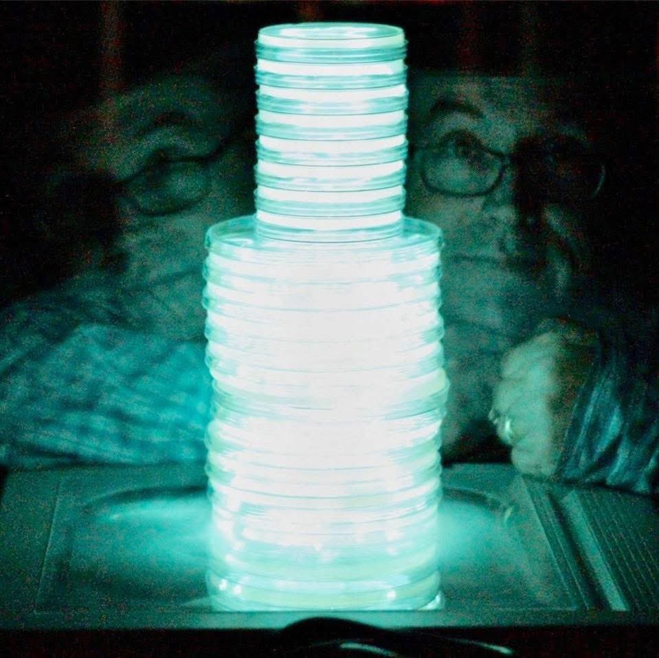 markowenmartin's tweet photo. I adore bacterial bioluminescence! Here I am years ago, illuminated by a stack of Petri dishes with Photobacterium. 5 seconds on one side of the stack, 5 seconds on the other. Fun! #MicrobialEvangelist #MicrobialCentricity #BacterialBioluminescence @profvrr @asmicrobiology https://t.co/s8Ti0uwQaW