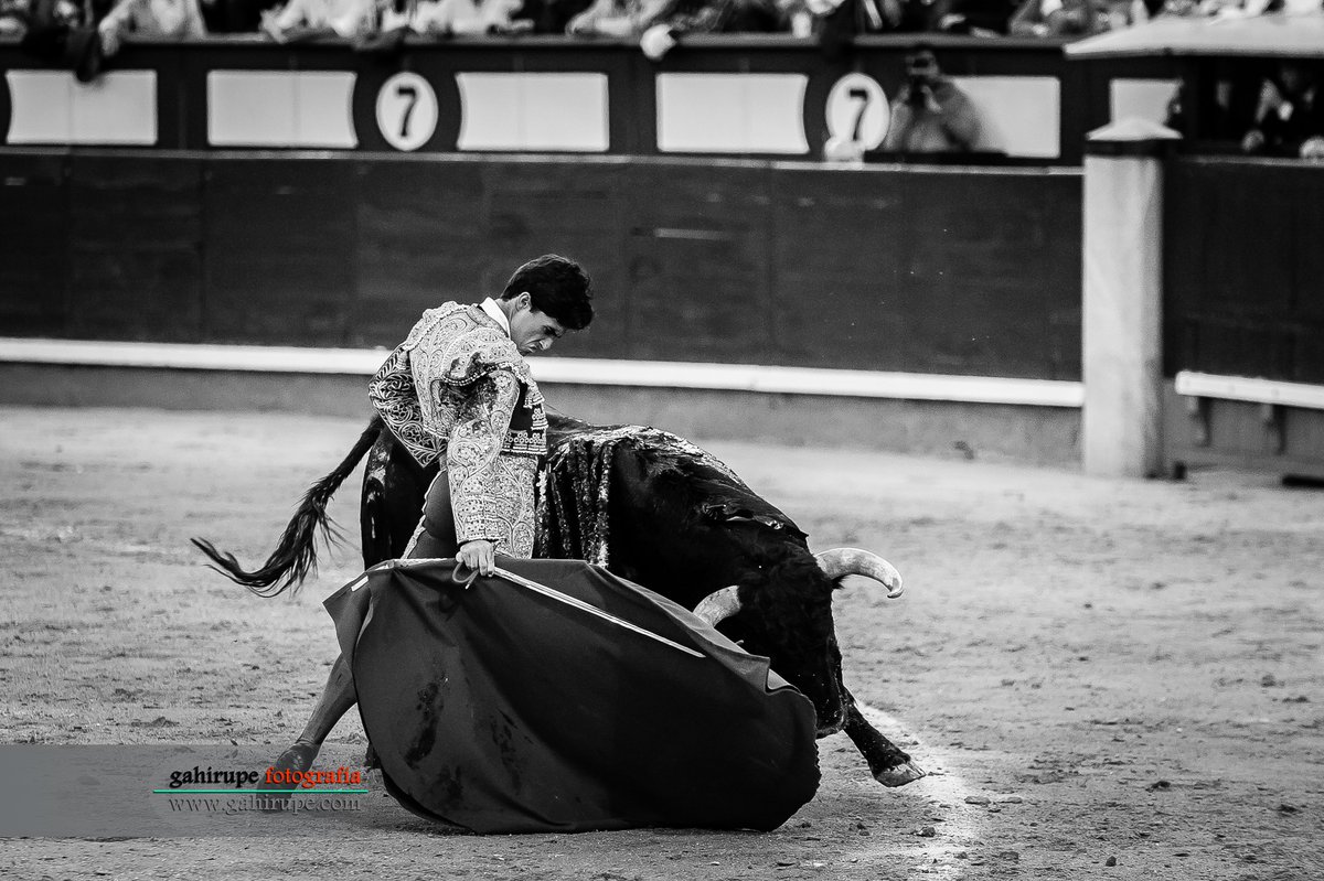 gahirupe's tweet photo. De aquel mano a mano novilleril que abrió la Feria de Otoño el 1 de octubre de 2022, os dejo unas fotos de Álvaro Alarcón (cayó herido por el primero de sus utreros de #FuenteYmbro) El aroma que dejó en Madrid aquel 2022 este torero. Hoy me he acordado de él.
#gahirupefotografia https://t.co/JhktAfggHp