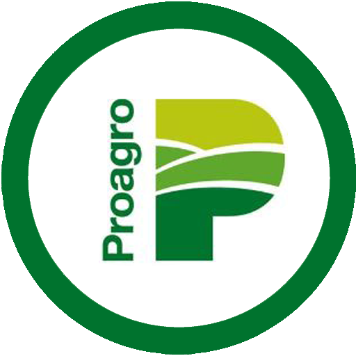 AdrianSarriaMu's tweet photo. (2/3) La propia DDC de Ica confirmó que el fundo opera sobre dos geoglifos y corta caminos prehispánicos. En el desierto también instalaron postes de concreto y tendido eléctrico de alta tensión. Son terrenos del @MinCulturaPe que deberían recuperarse y ponerse en valor turístico. Mientras tanto, ProAgro prepara una ampliación y ya tiene listos los parantes.

La empresa pertenece a la Corporación Cervesur y su presidente de directorio es Andreas von Wedemeyer Knigge, quien también presidió la Sociedad Nacional de Industrias, Confiep y la Asociación de AFP.