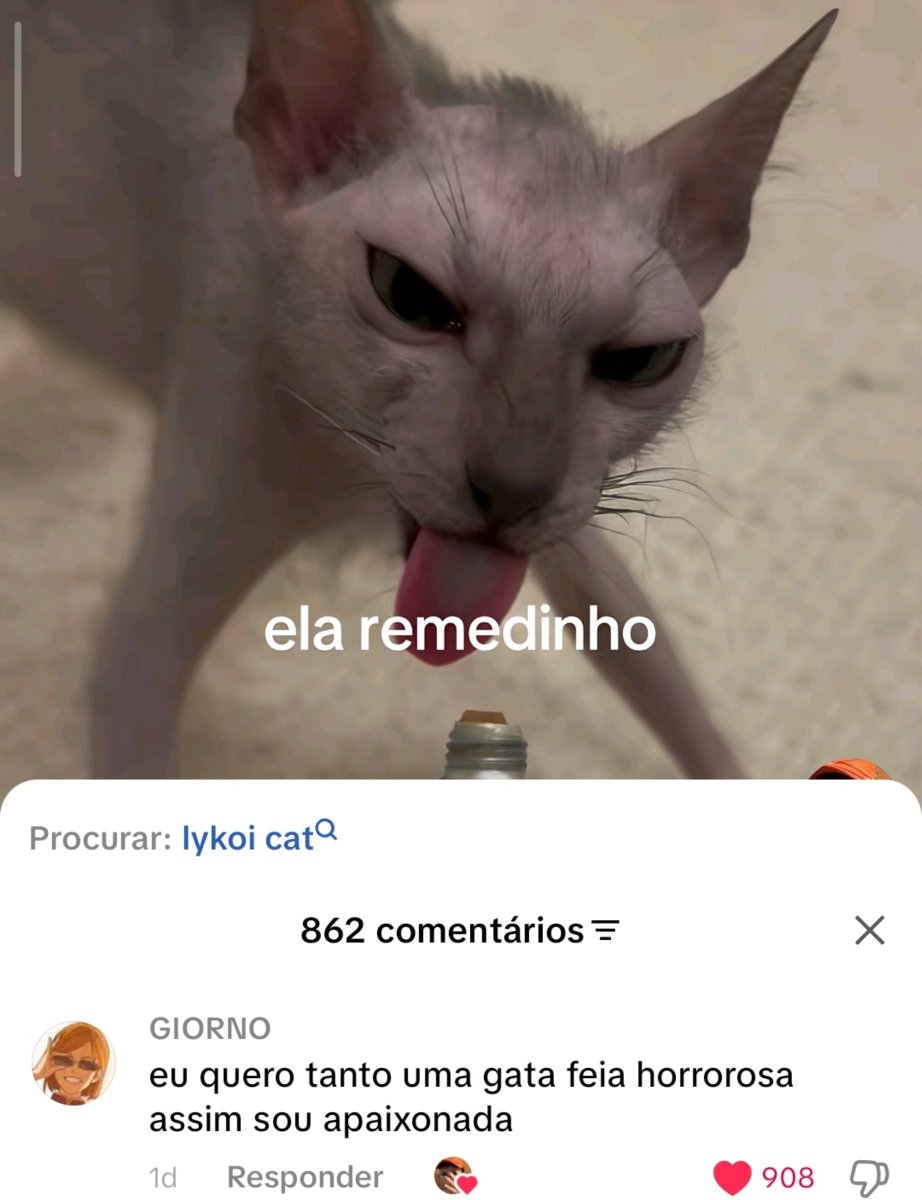 melcomfruta's tweet photo. sou esse comentário https://t.co/jOCrPbVLg9