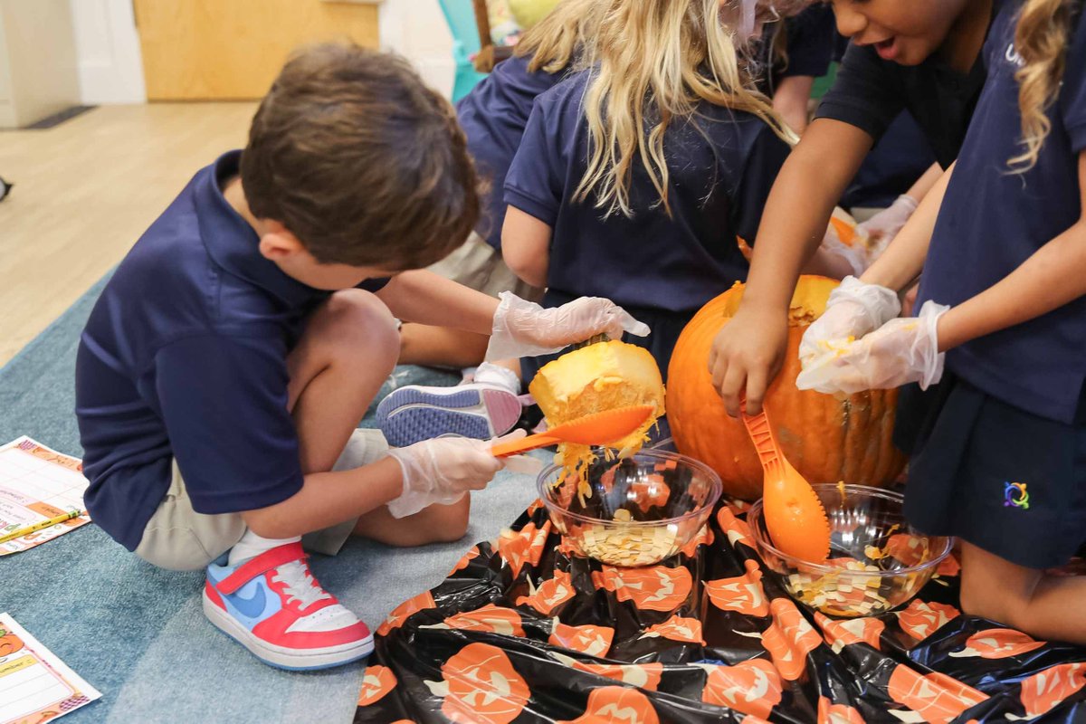 UnitySchoolFL's tweet photo. 🎃 First graders are diving into fall math! From predicting sizes to rolling up their sleeves for carving and counting seeds, they are putting their math skills to the ultimate test with some messy, hands-on learning. 🍂🧡

#UnitySchoolFL #DelrayBeach #HandsOnLearning https://t.co/W0vwb0vydy
