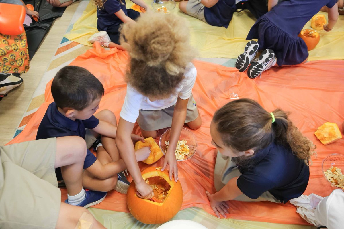 UnitySchoolFL's tweet photo. 🎃 First graders are diving into fall math! From predicting sizes to rolling up their sleeves for carving and counting seeds, they are putting their math skills to the ultimate test with some messy, hands-on learning. 🍂🧡

#UnitySchoolFL #DelrayBeach #HandsOnLearning https://t.co/W0vwb0vydy