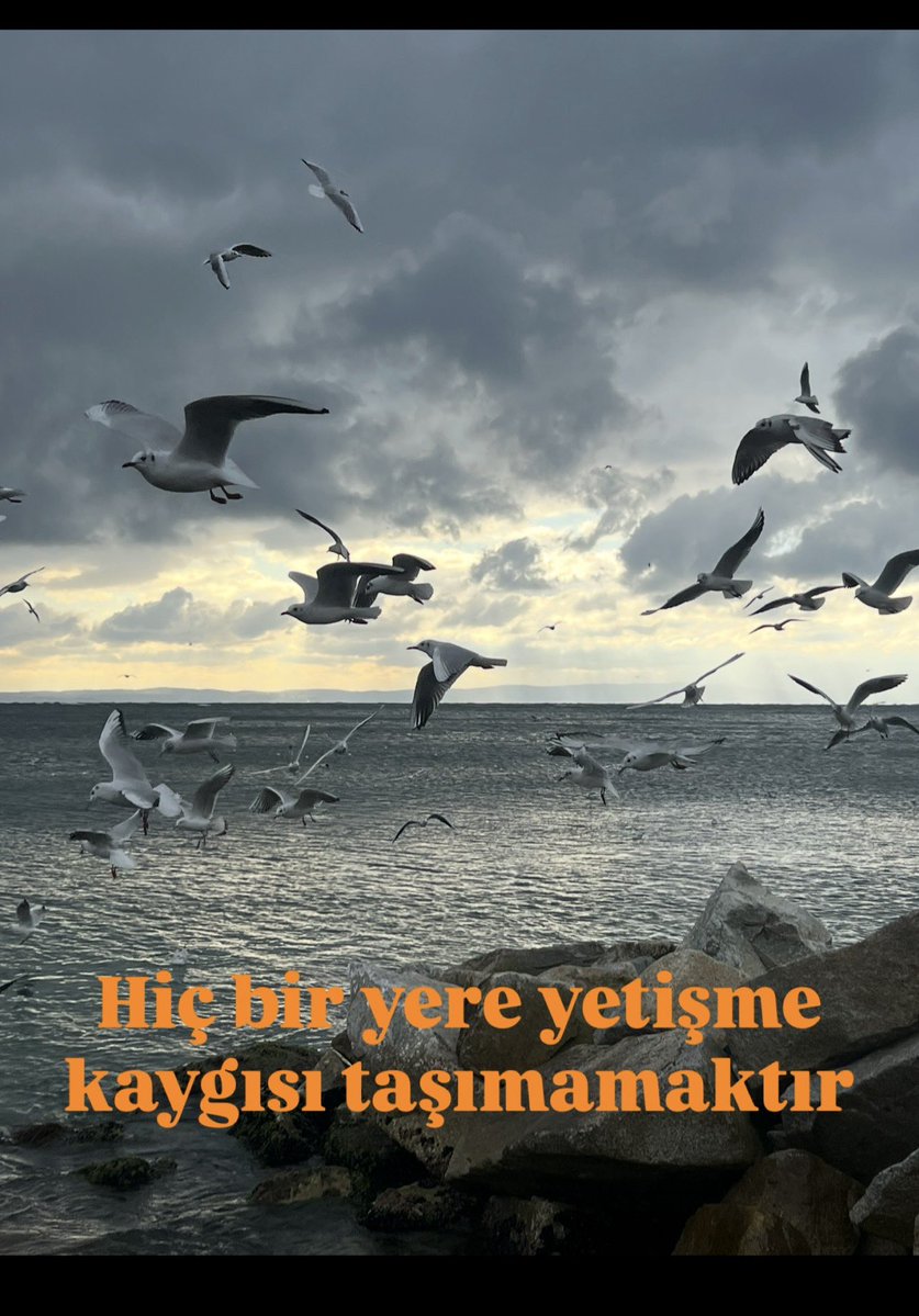 sareduzdemir's tweet photo. gerçek lüks.. https://t.co/1Yki2IOzMu