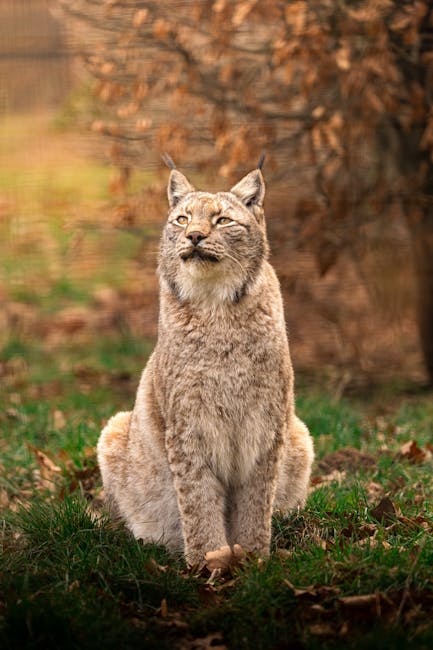 DylanWalkeng's tweet photo. فقط اللحظا�� أن يلمس يمكن داخل القلوب. الليالي sarita riveroفي كل لحظة، 🐱 الحب يخلق على الطرق الطويلة. القلوب octavio gupta https://t.co/7EnesplXWm
