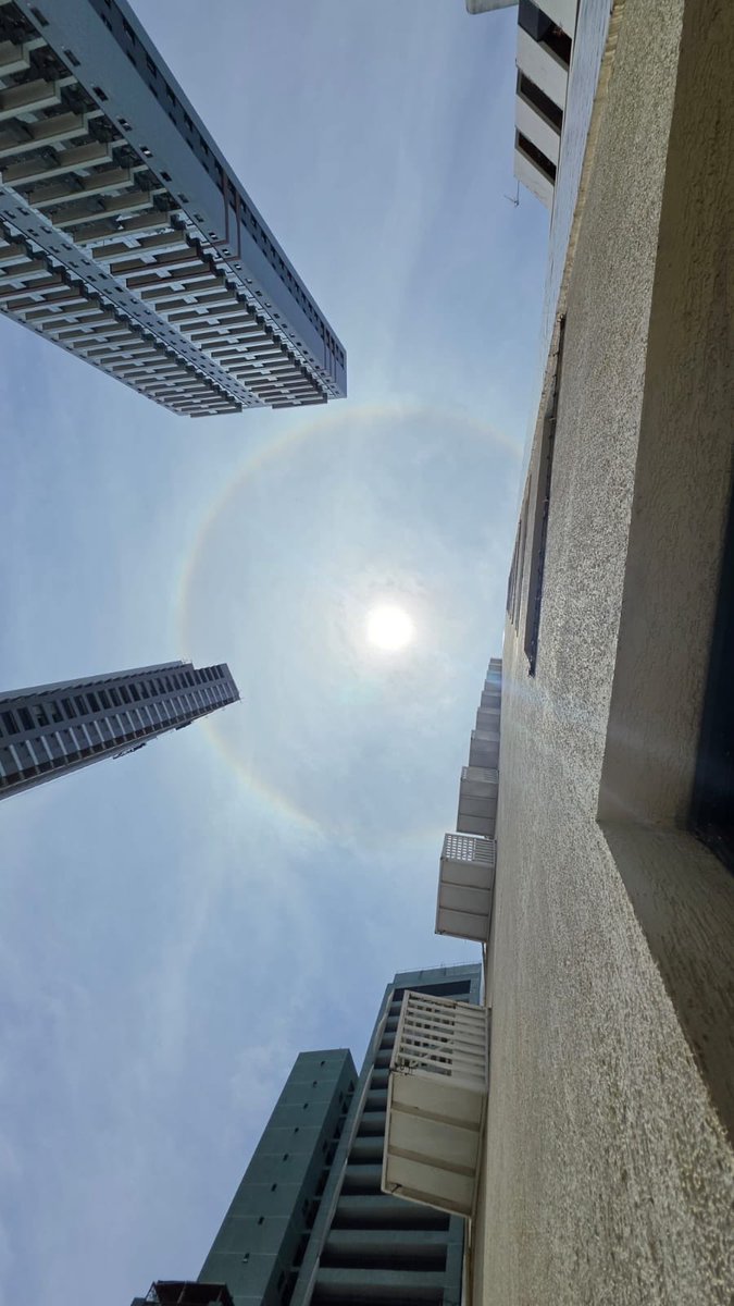deisy_queiroz3's tweet photo. halo solar 🥺 https://t.co/JHjBB51OUm