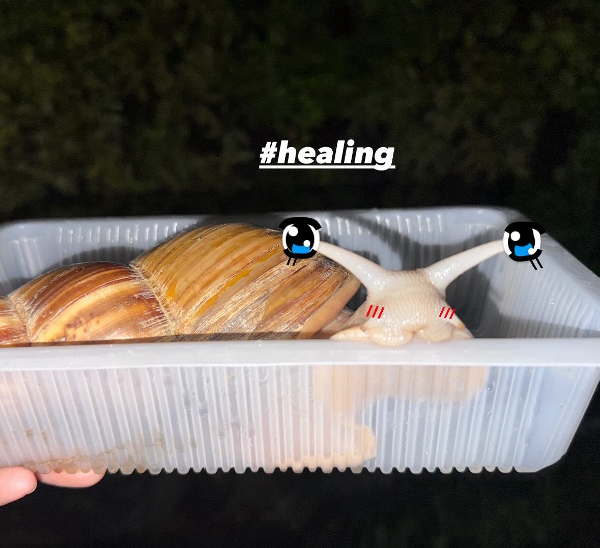 dalpaenniii's tweet photo. #healing https://t.co/rfz0Ndi2so