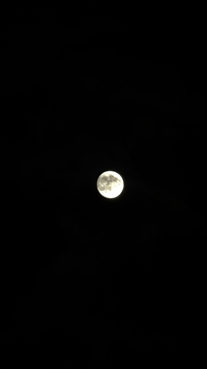 TririRoku's tweet photo. #中秋の名月🌕 

「月が綺麗ですね」

をひたすらたけぽんさんに言い続けてもらえて、幸せでした。

アイラ〜ビュ〜🎶

次は新月に言わなきゃ← https://t.co/gQC3BTX137