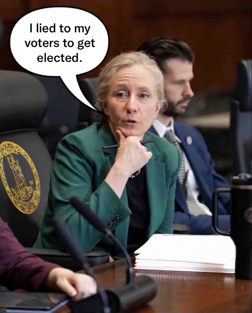 TheModerateVA's tweet photo. To put it simply, Abigail Spanberger is a just a bad Governor. https://t.co/UVsivqIsLI
