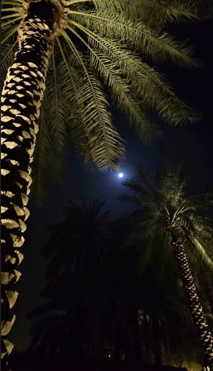 EbtisamALRdaan's tweet photo. للقمر حكاية لا تُروى، يجيء آخر الليل.. ليترك في الروح شيئًا من الطمأنينة والجمال. 
#السيتي #ساعه_استجابه https://t.co/Z4w7iql8ox