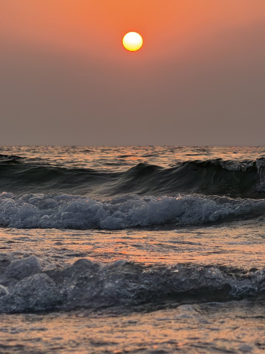 kittenrella's tweet photo. No filter, pure delight 🌅 https://t.co/2zKTdhyXHb