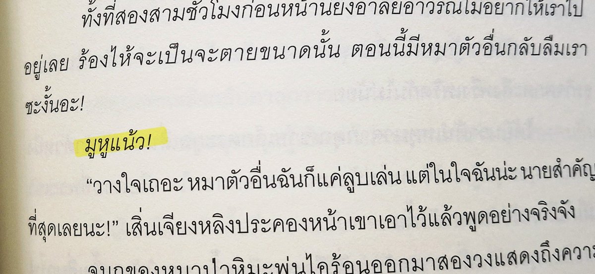 punch_ke's tweet photo. นิยายแปลใช้คำว่า มูหูแน้ว ??? คำสแลงเยอะมาก แทบจะมีทุกบทเลยอะ อันนี้คือไม่ไหวจริง เหมือนคำไหนฮิตช่วงนั้นก็เอาคำมาใช้เลยอะ😭 https://t.co/FuFYFD6Il2