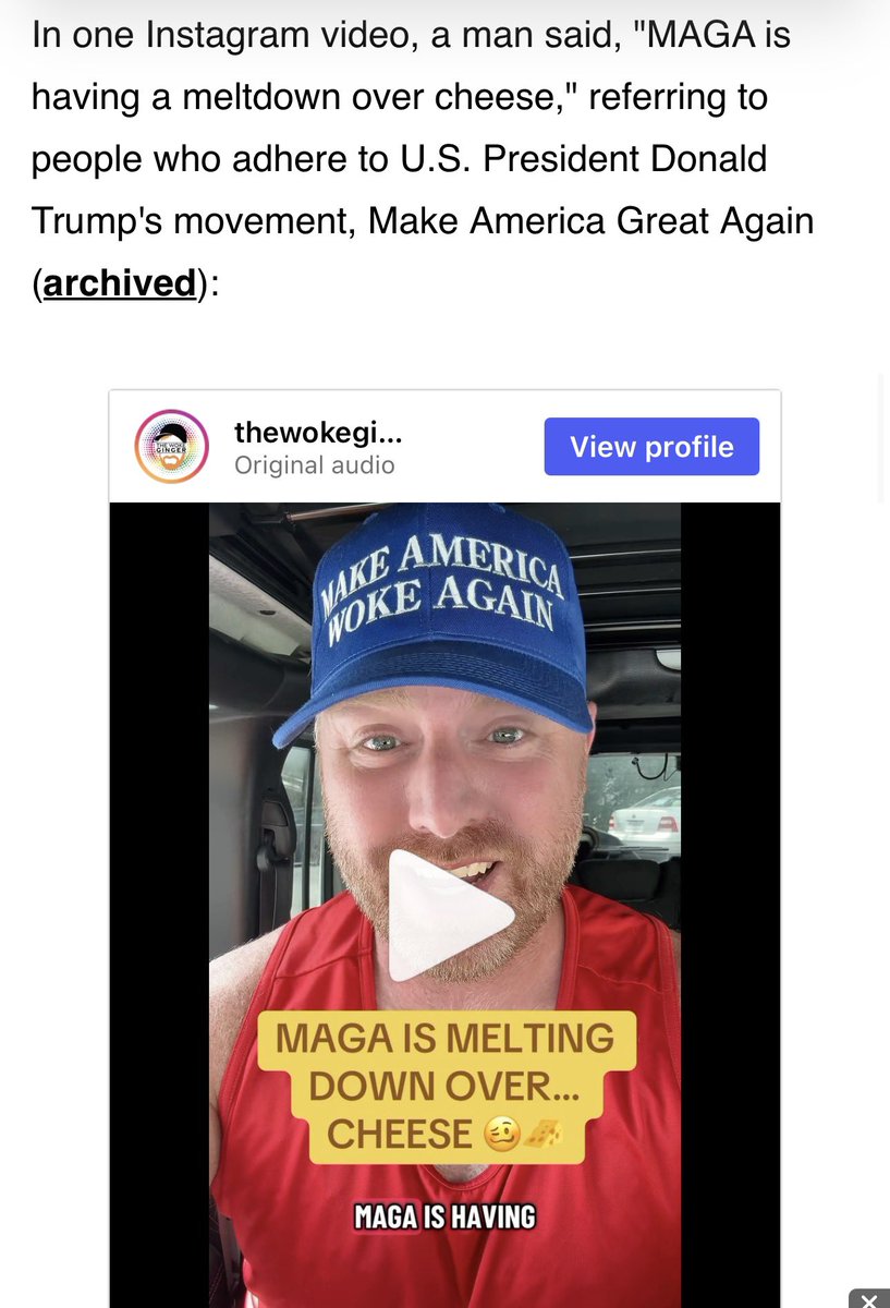 thewokeginger's tweet photo. I made it on to Snopes today. The verdict? True. ✅😁 https://t.co/zvxn1tn6Yi