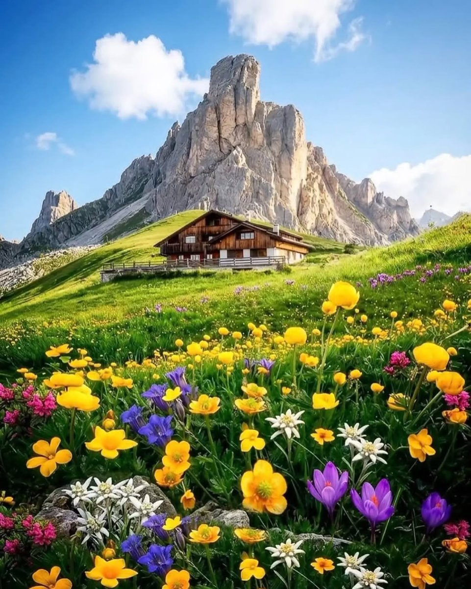 AnnBonamuu's tweet photo. Where mountains meet a sea of wildflowers, nature feels like a dream. A peaceful, wild, breathtaking escape tucked away in the Italian Dolomites. https://t.co/YJR8v2NiNE