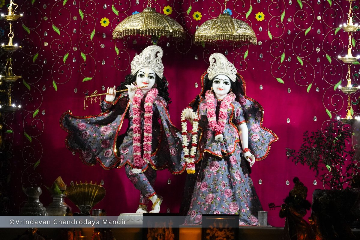 VCMVrindavan's tweet photo. Tonight's Shayana Darshan of Sri Radha Vrindavanchandra - 25 Sep 2026 

#vrindavan #vrindavanchandrodayamandira #Krishna #Radha https://t.co/JKcU0IlWNG