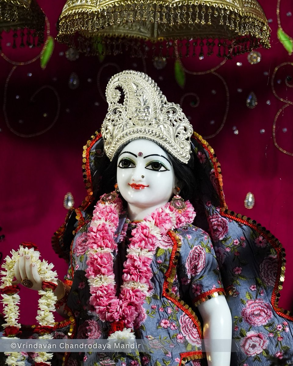 VCMVrindavan's tweet photo. Tonight's Shayana Darshan of Sri Radha Vrindavanchandra - 25 Sep 2026 

#vrindavan #vrindavanchandrodayamandira #Krishna #Radha https://t.co/JKcU0IlWNG